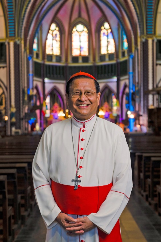 Cardinal-Bo-Profile2_web(cropped)