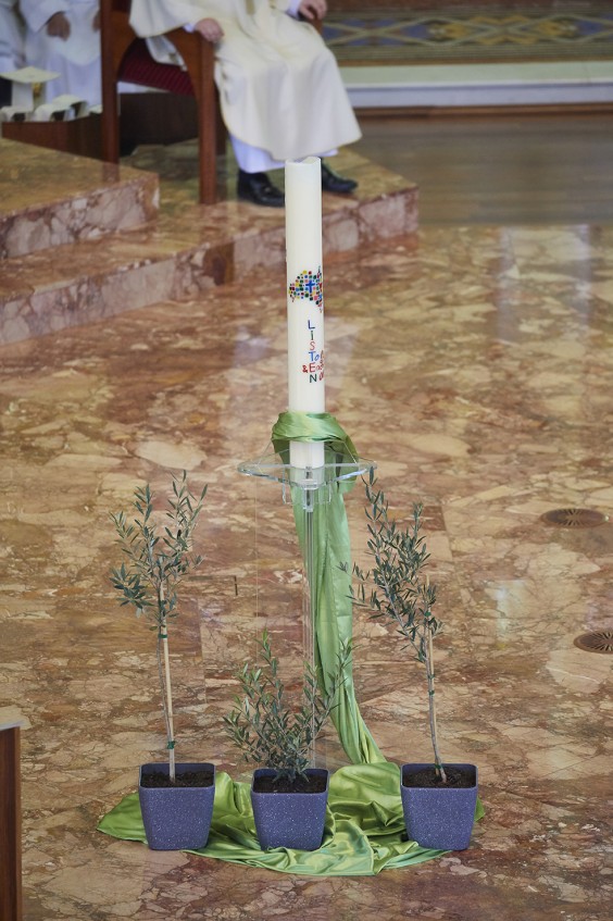 Plenary3Jun20
