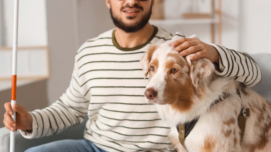 AdobeStock_1989122517_web cropped AdobeStock_1989122517_web cropped