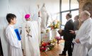 Mary is the great symbol of our faith, says Archbishop Costelloe
